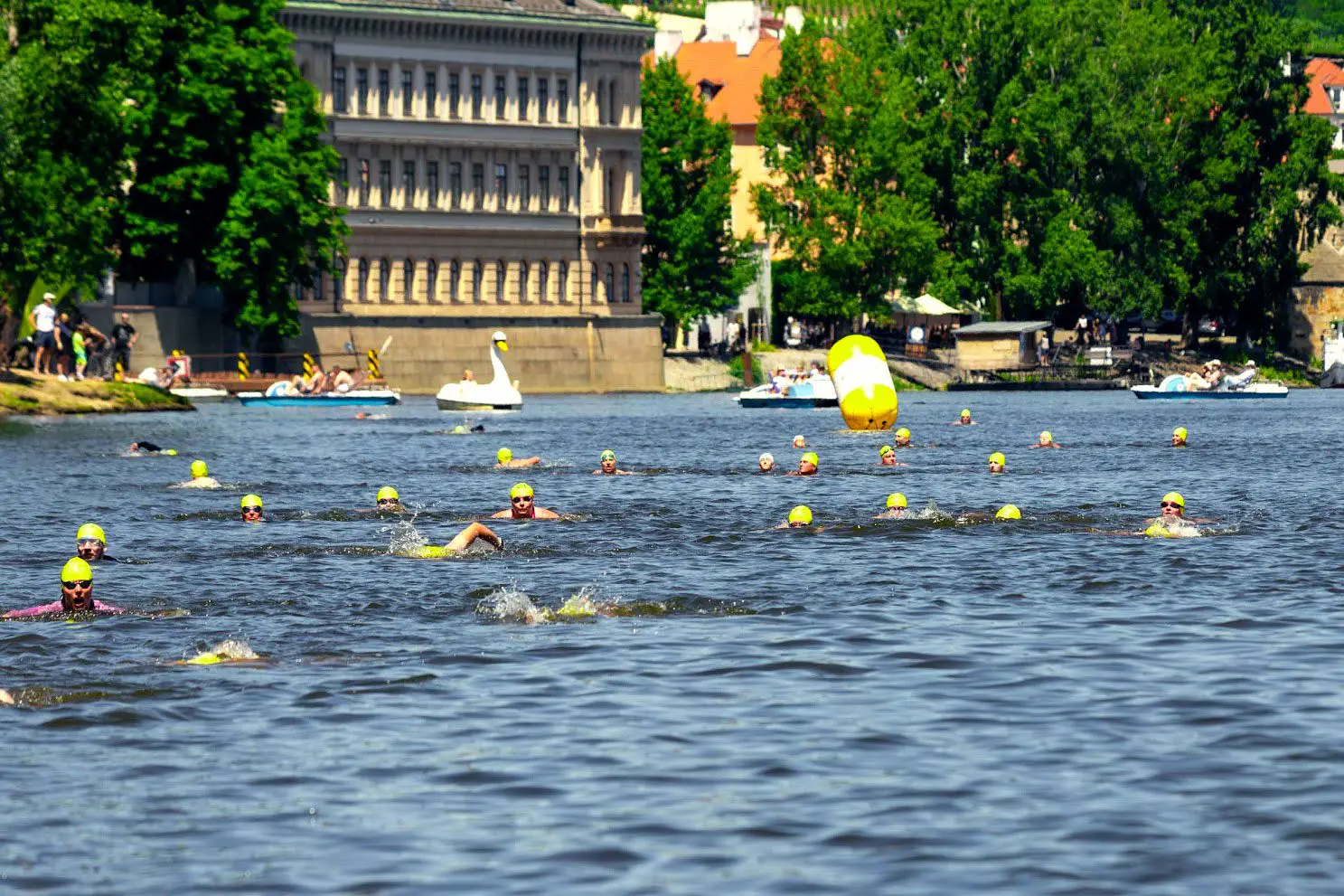 Up employees at Prague city swim