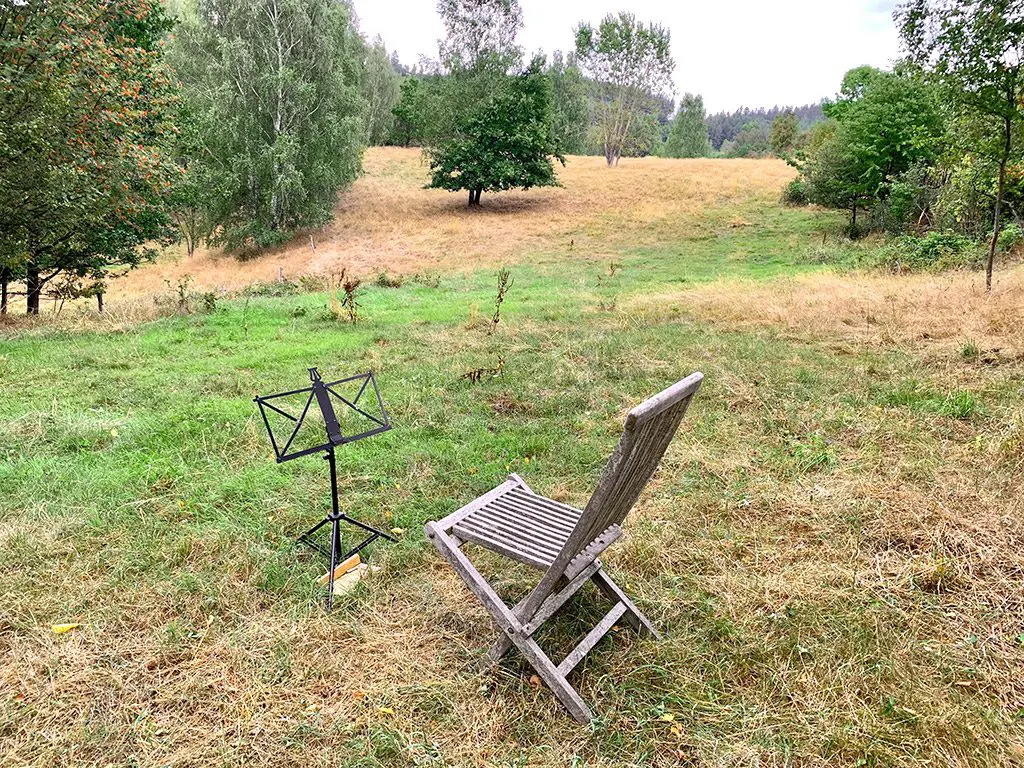 židle v přírodě
