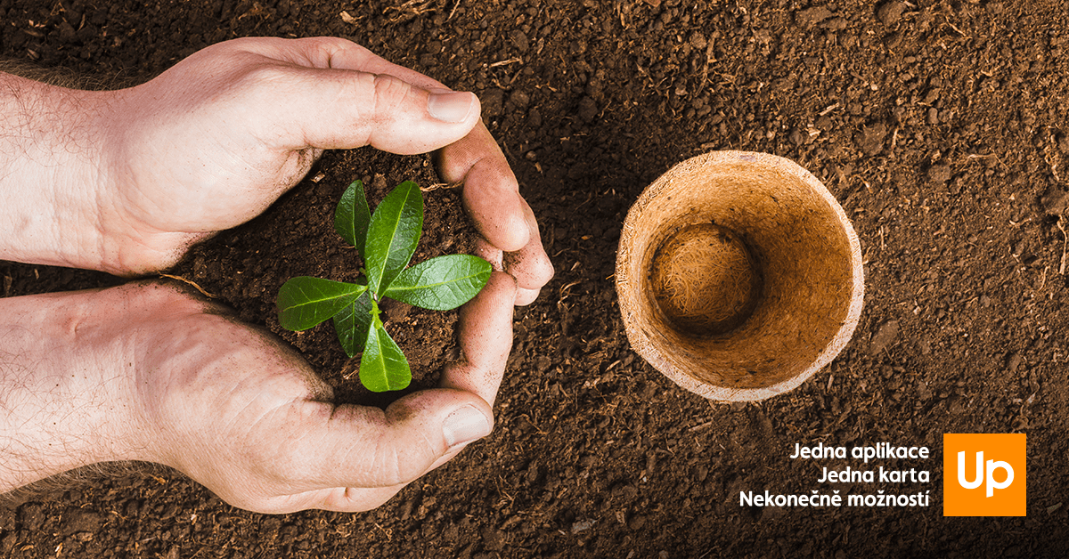 Jak přistUpujeme k oblasti Ekologie? Představujeme jednotlivé kořeny naší společenské odpovědnosti