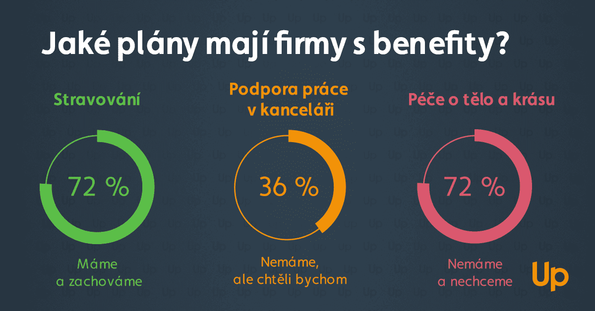 Jak kompenzovat snížení reálných mezd? Ve hře je především podpora stravování