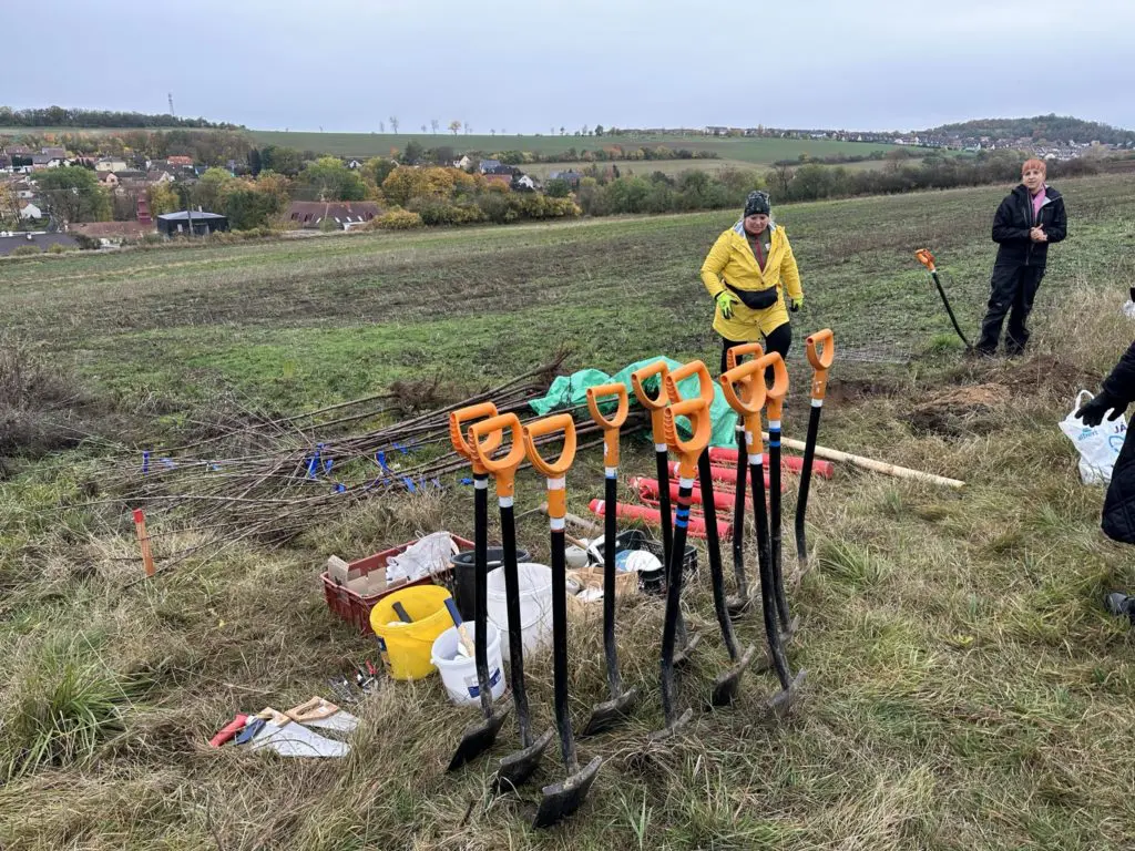 Zaměstnanci Up sází stromy