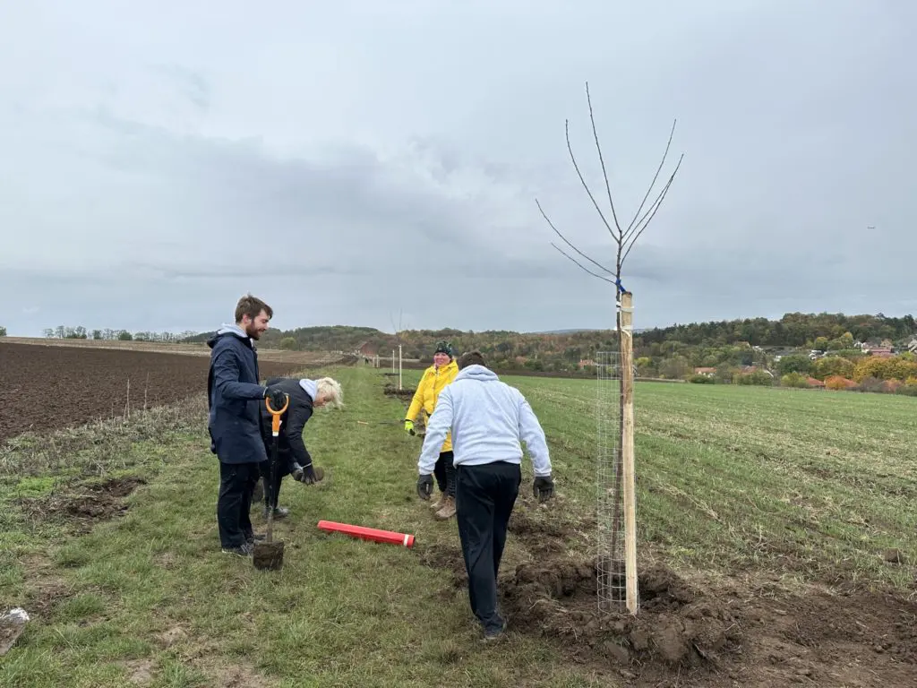 Zaměstnanci Up sází stromy