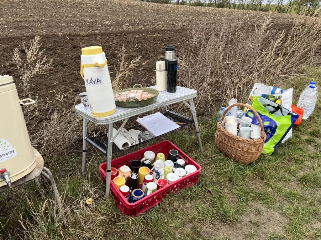 Zaměstnanci Up sází stromy