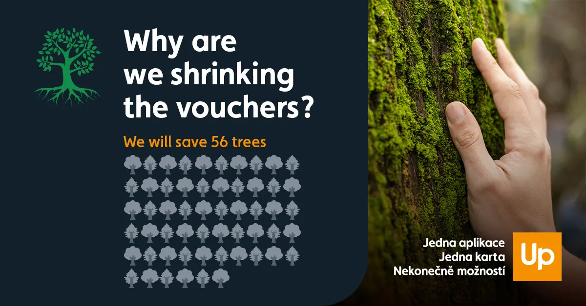 Smaller paper meal and leisure vouchers save trees