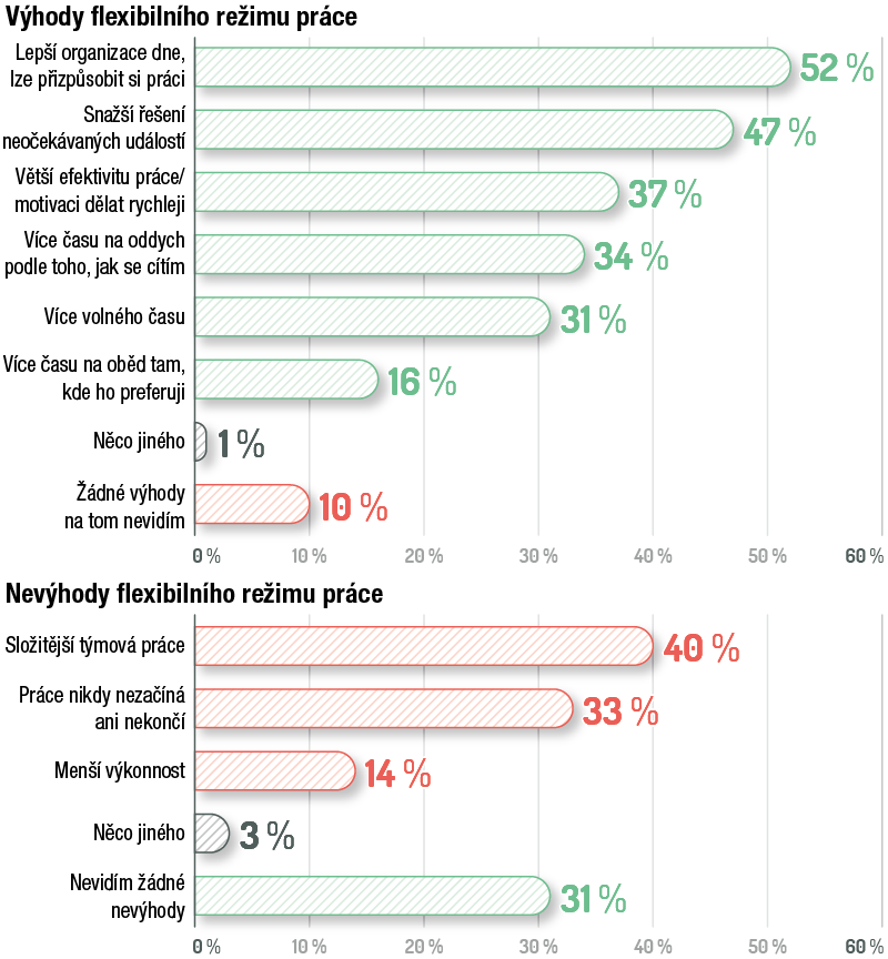graf výhody a nevýhody flexibilního pracovního režimu