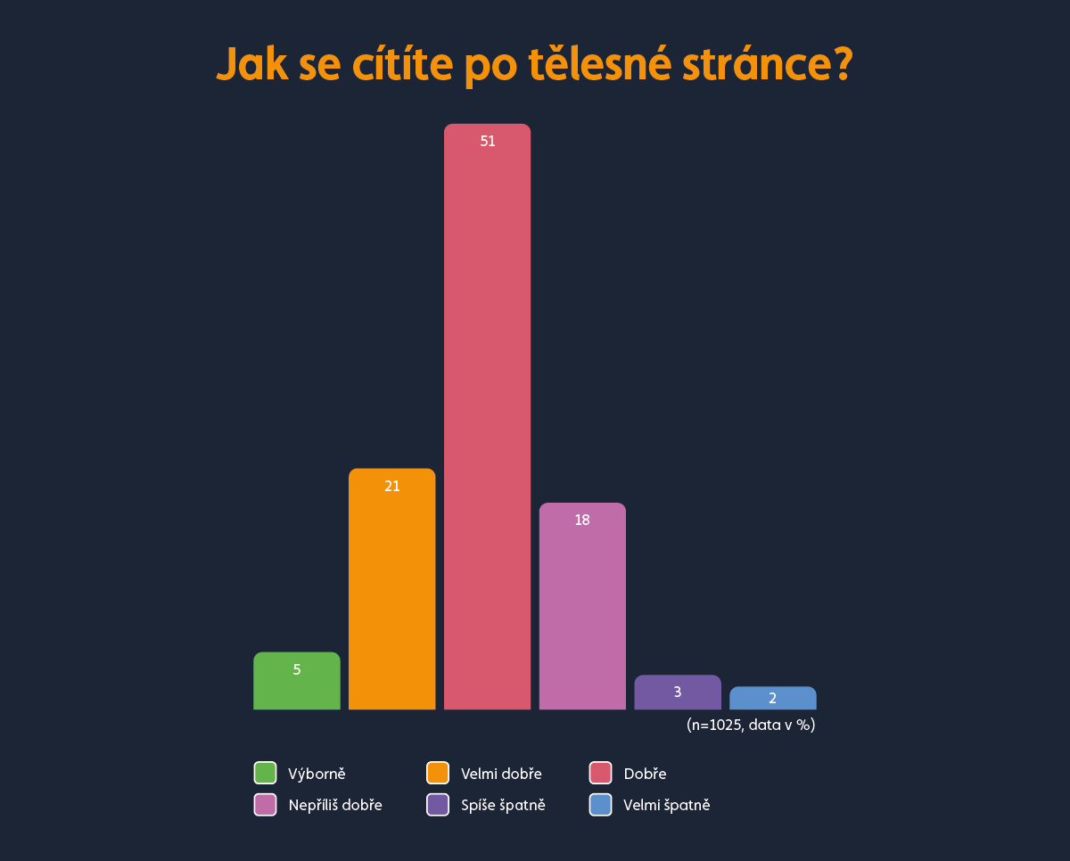 Graf fyzické zdraví zaměstnanců