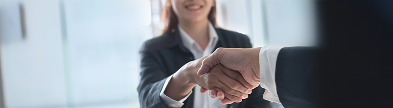 zaměstnanci a kariéra