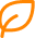 Vector