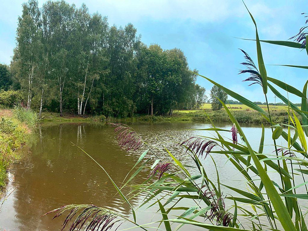 rybník