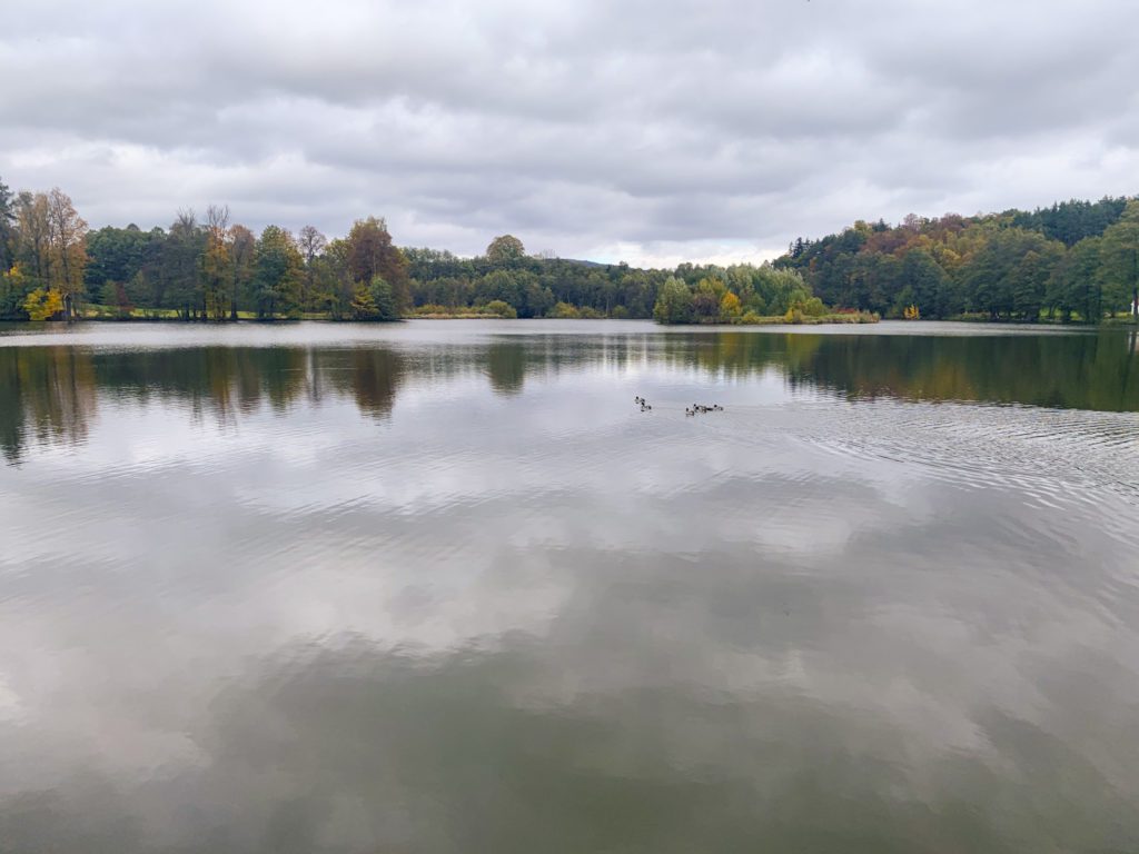 rybník