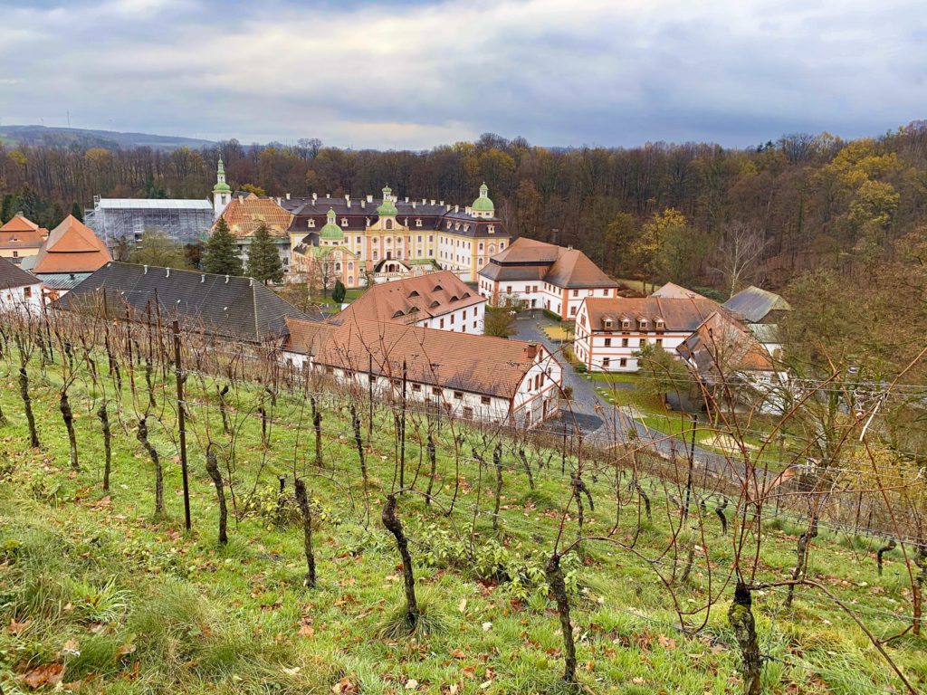 vinice