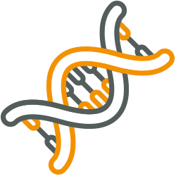 ikona DNA