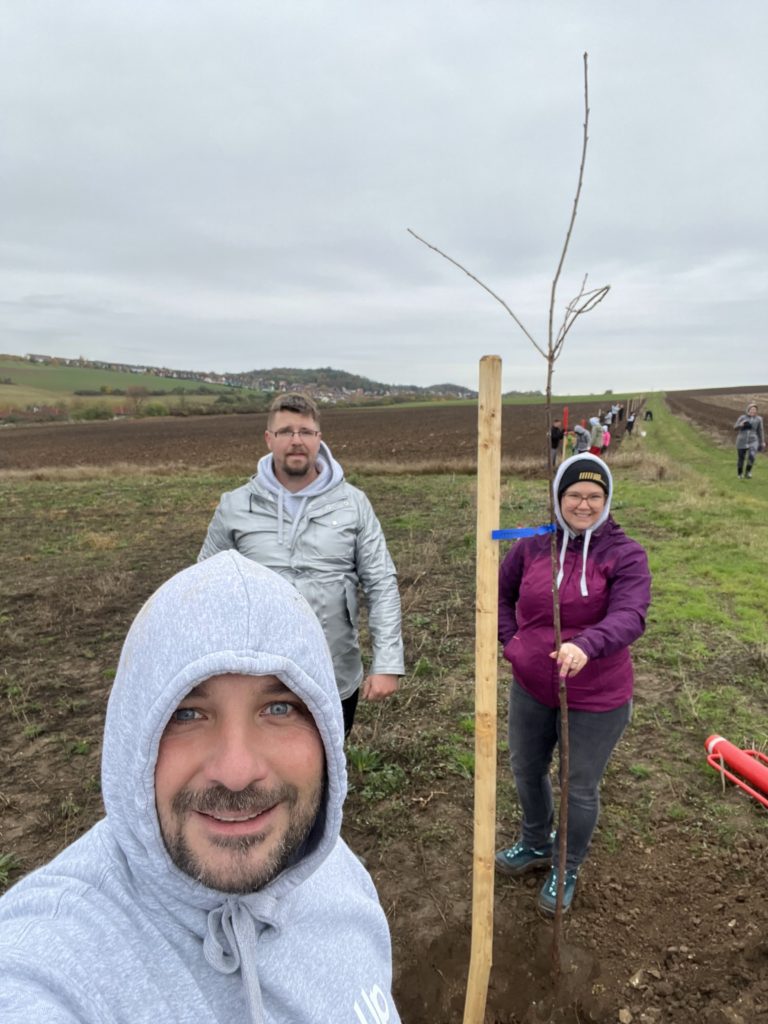 Planting cherry trees 03