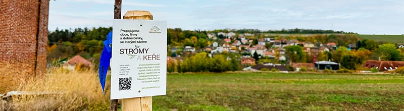 Jak jsme sázeli třešně s organizací Sázíme stromy